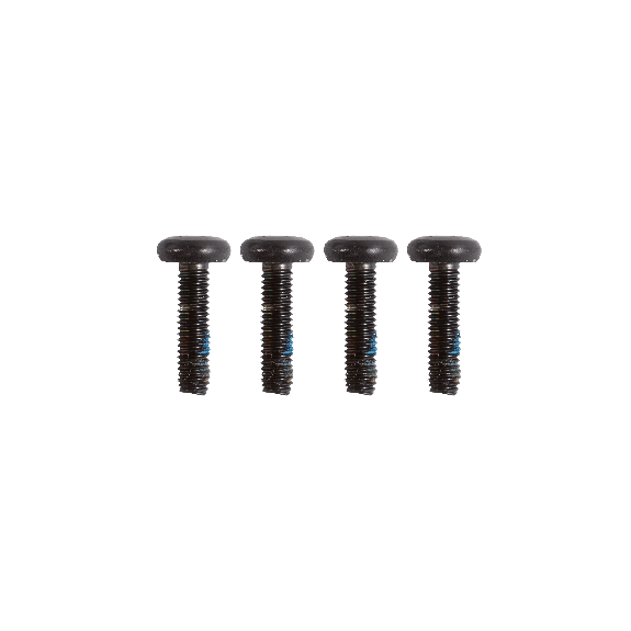 North ShiftLock Replacement Screws