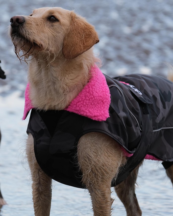 DRYROBE Dog Coat Hundemantel Schwarz Camo Pink