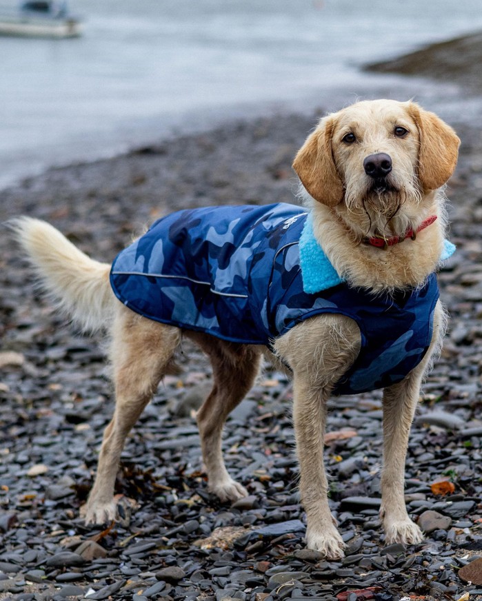 DRYROBE Dog Coat Hundemantel Blau Camo