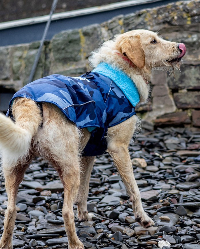 DRYROBE Dog Coat Hundemantel Blau Camo