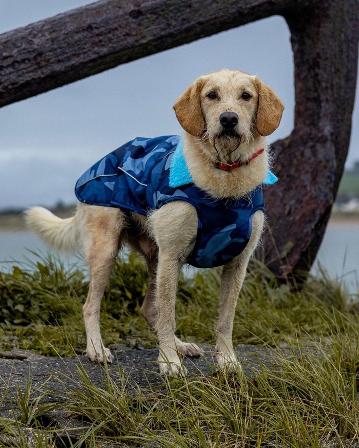 DRYROBE Dog Coat Hundemantel Blau Camo