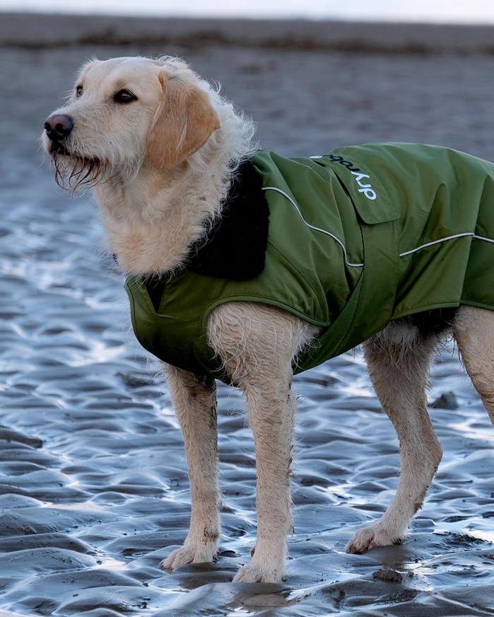 DRYROBE Dog Coat Hundemantel