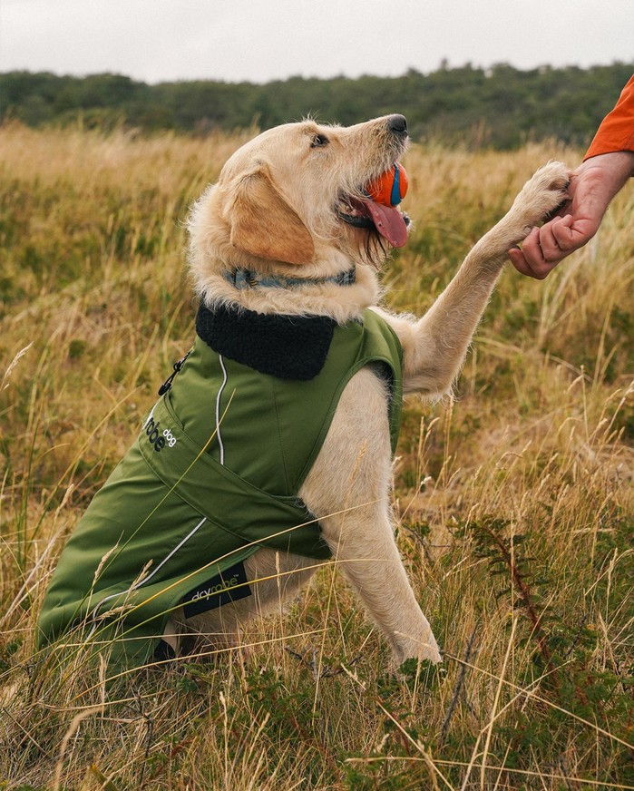 DRYROBE Dog Coat Hundemantel