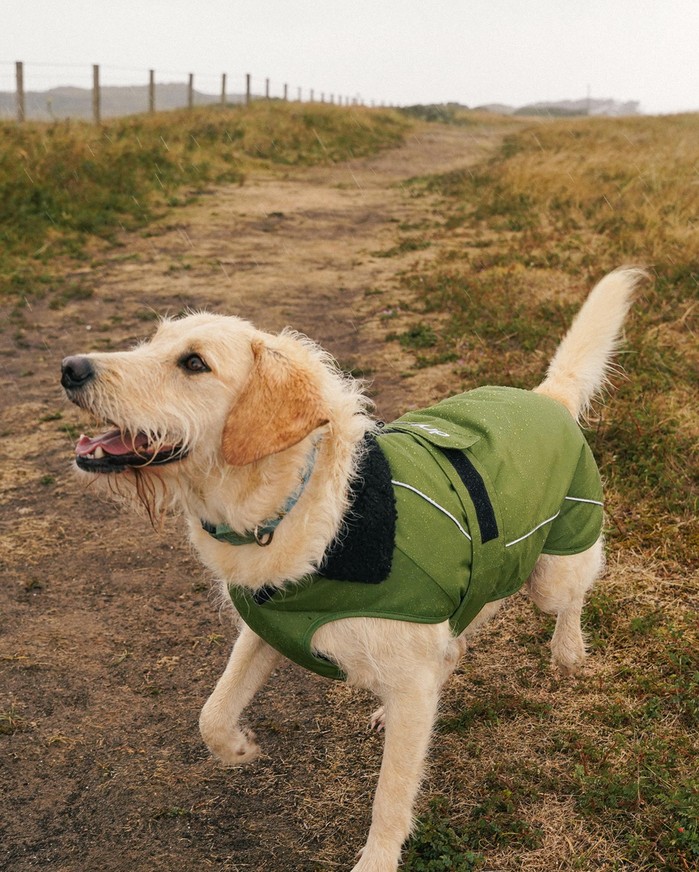 DRYROBE Dog Coat Hundemantel