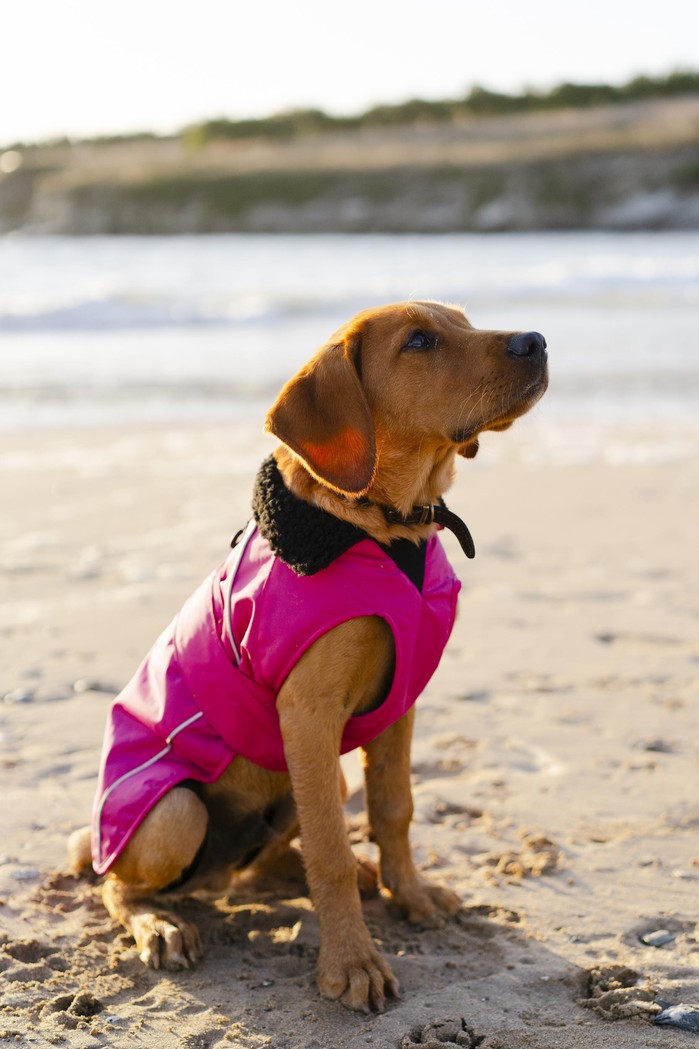 DRYROBE Dog Coat Hundemantel Pink Schwarz
