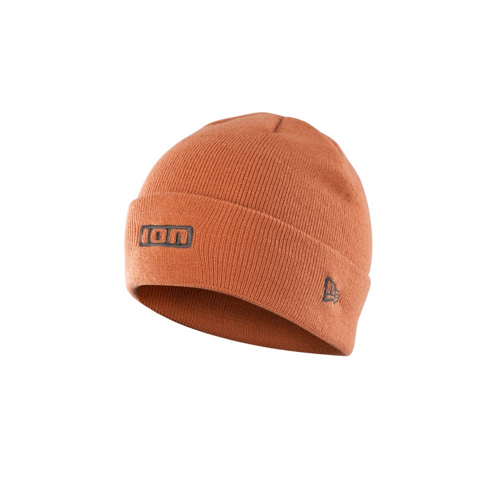 ION Beanie Logo 2024
