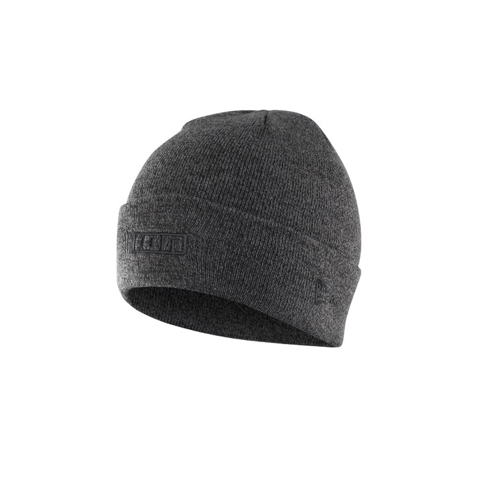 ION Beanie Logo 2024