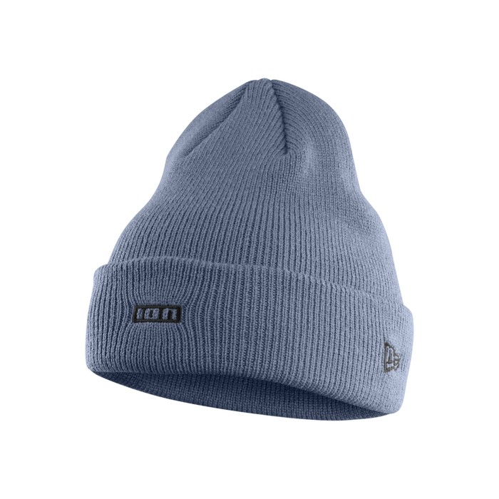 ION Beanie Logo 2024