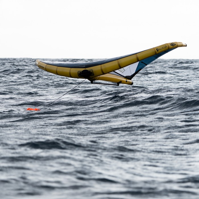 Naish Wing Anchor