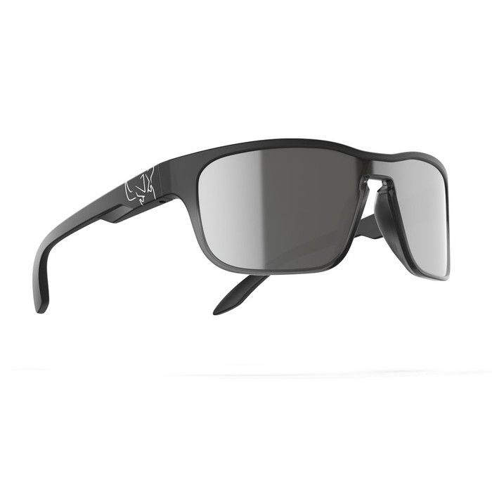 WIP Sonnenbrille WINGY (Size L)