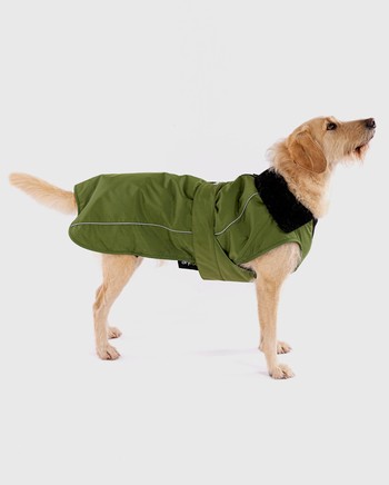 DRYROBE Dog Coat Hundemantel