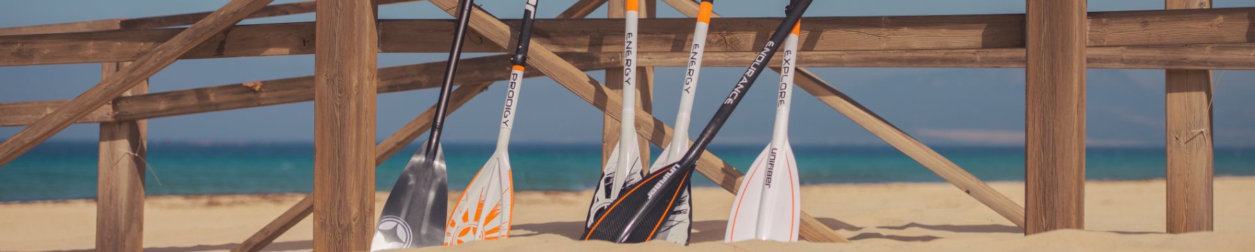 SUP Paddel